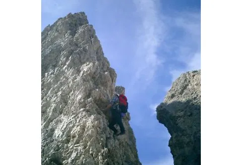 Björn klättrar på 