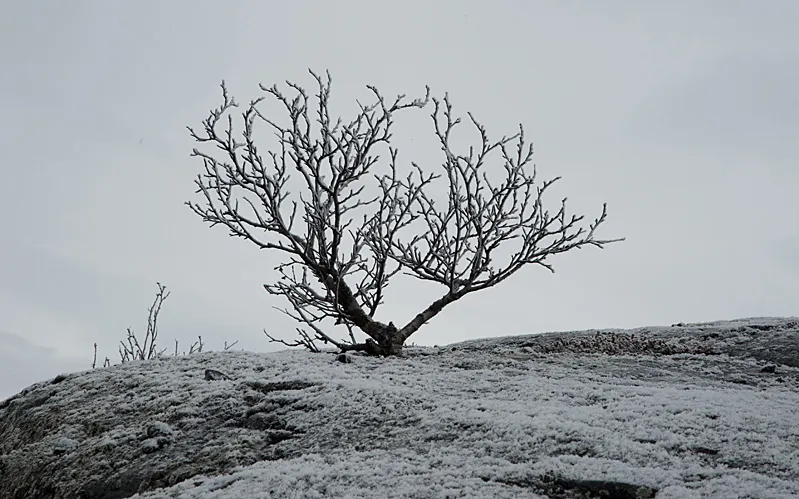 Klicka för att förstora