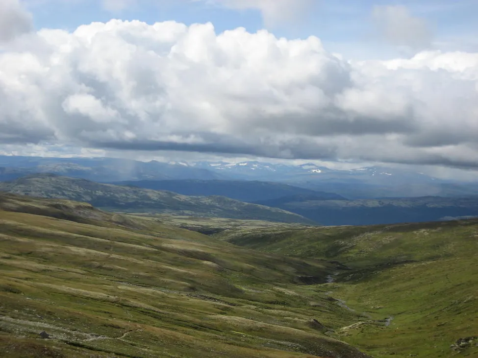 Klicka för att förstora