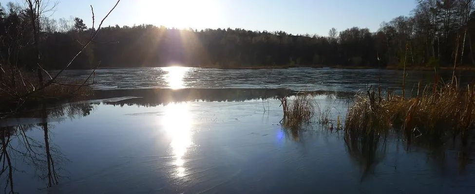 Klicka för att förstora