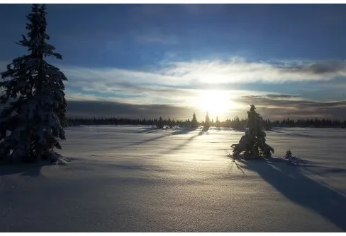 Kallt och mycket snö.