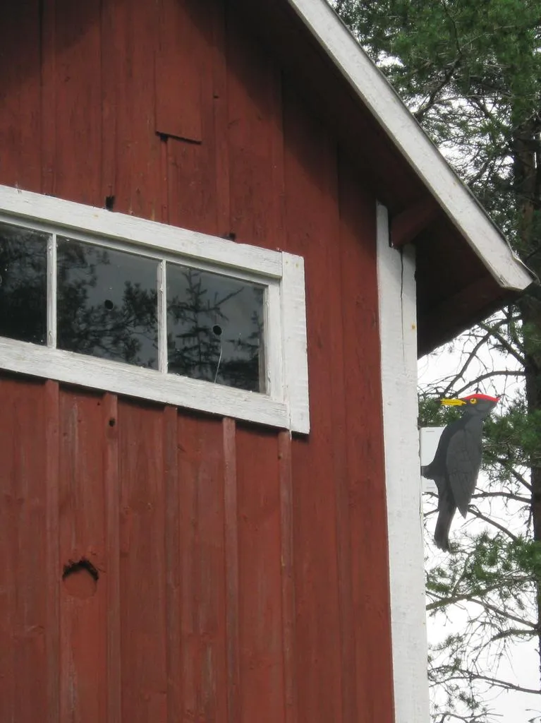 Klicka för att förstora