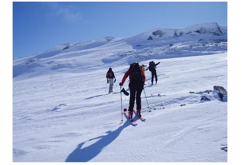 Gratis lavinföreläsningar digitalt