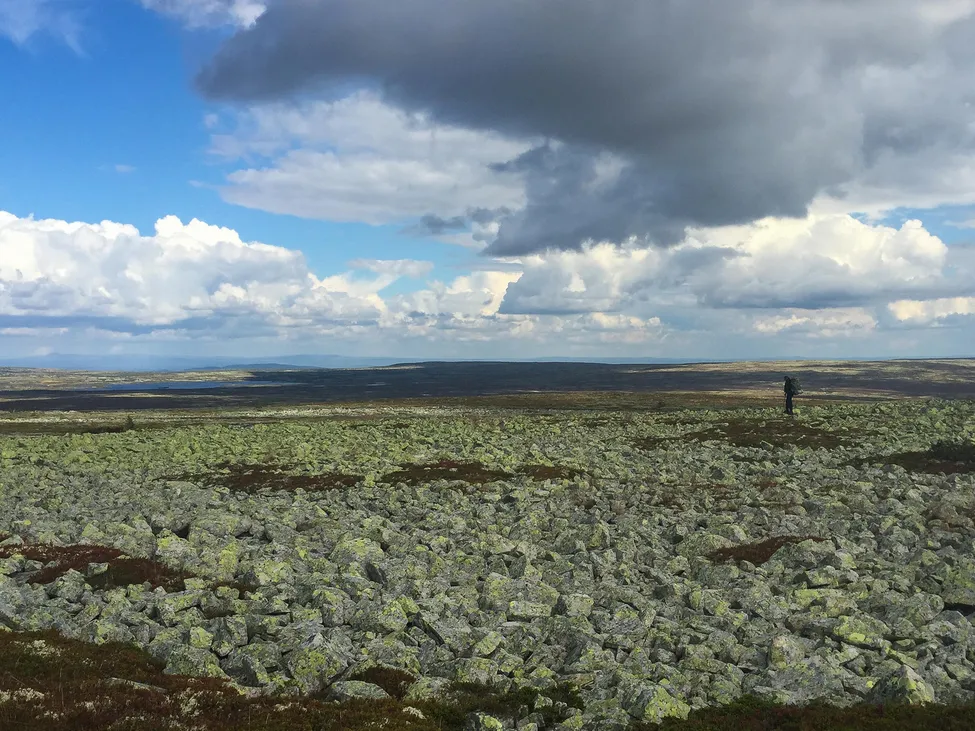 Klicka för att förstora