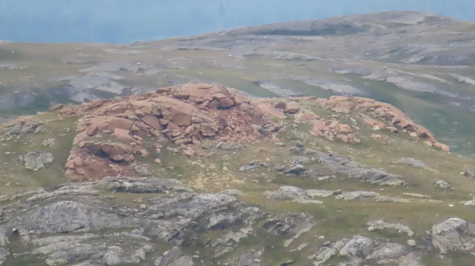 Klicka för att förstora