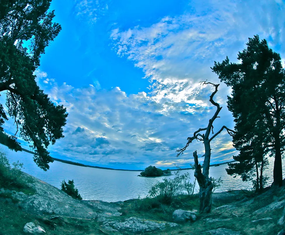 Klicka för att förstora