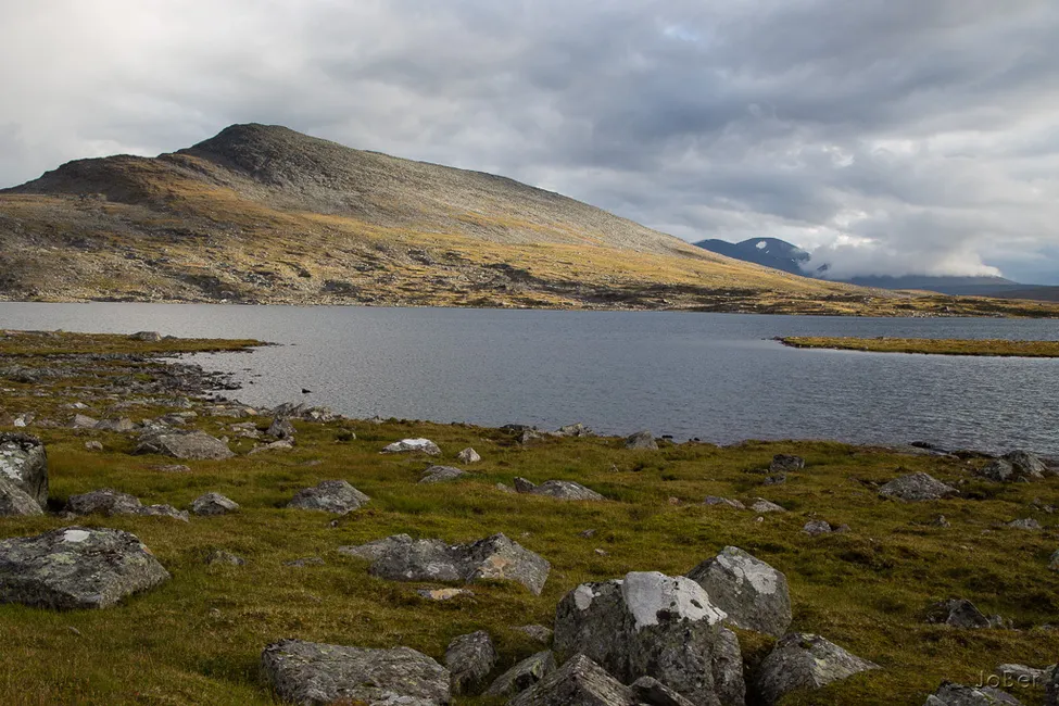 Klicka för att förstora