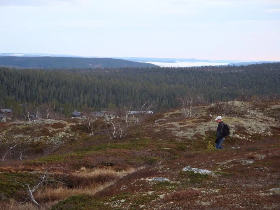 Klicka för att förstora