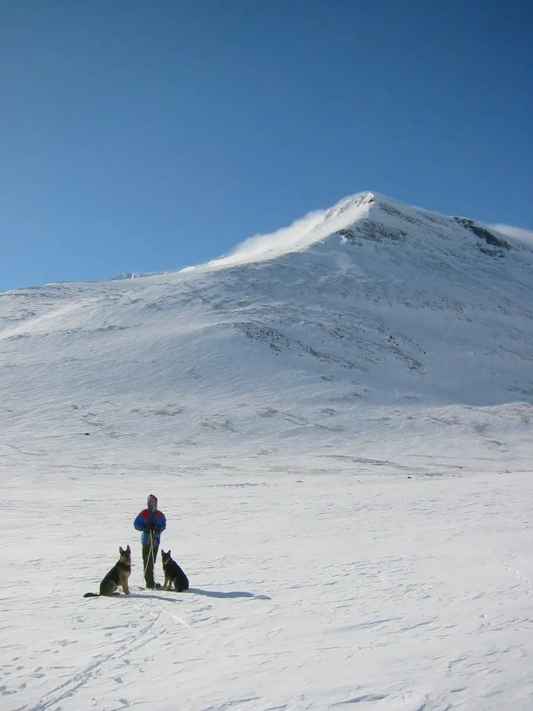 Klicka för att förstora