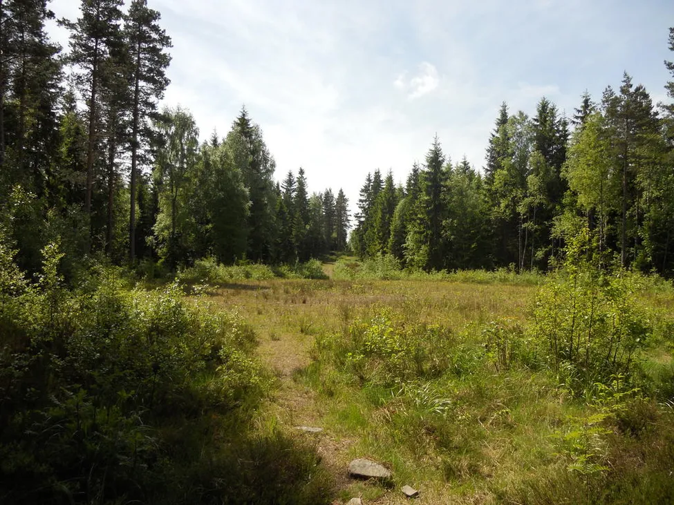 Klicka för att förstora