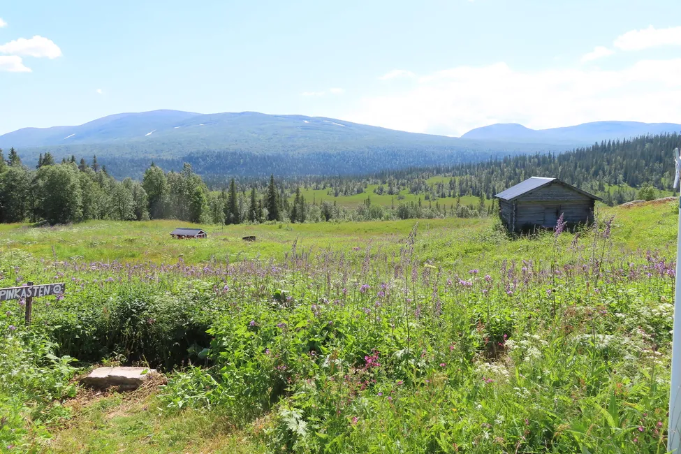 Klicka för att förstora