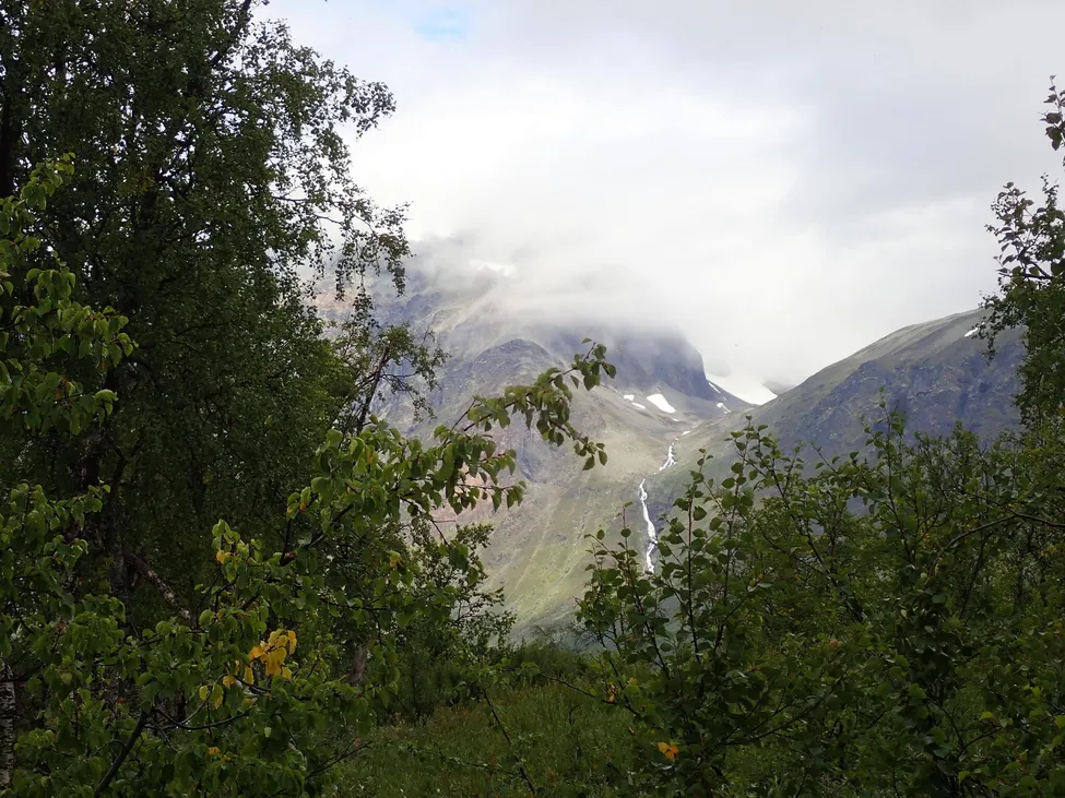 Klicka för att förstora