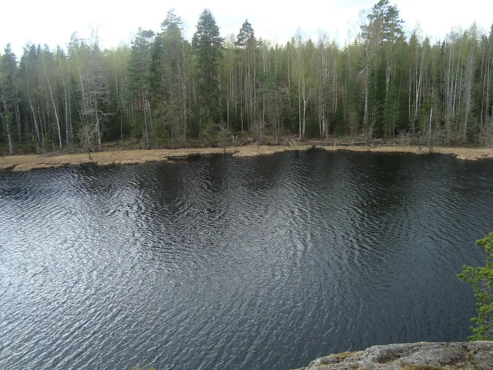 Klicka för att förstora