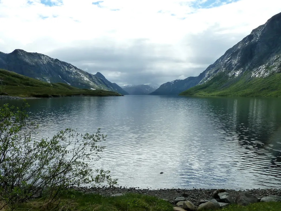 Klicka för att förstora