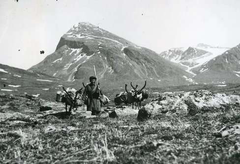 Med familjen Kuoljok på sommarflyttningen 1945