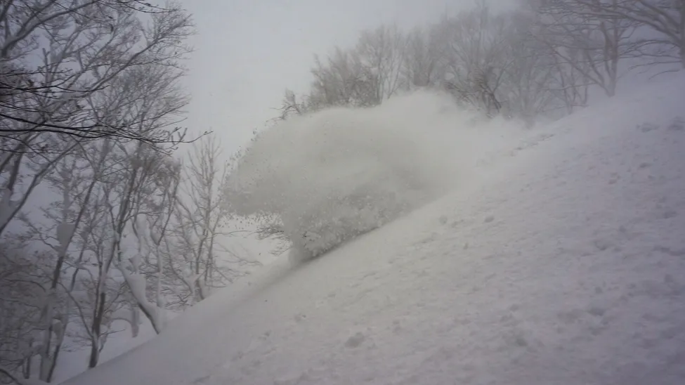 Klicka för att förstora