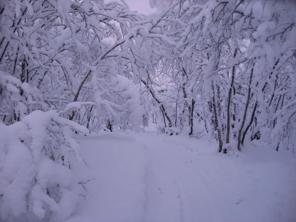 Klicka för att förstora