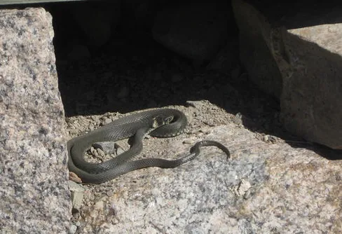 Ännu en märklig hög i Närke