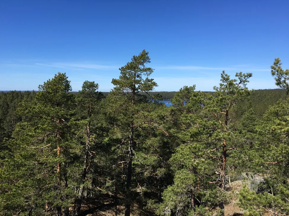Klicka för att förstora