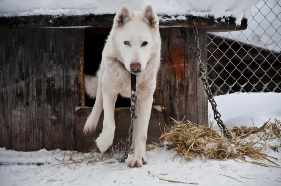 Klicka för att förstora