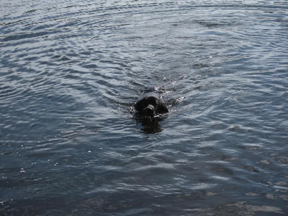 Klicka för att förstora