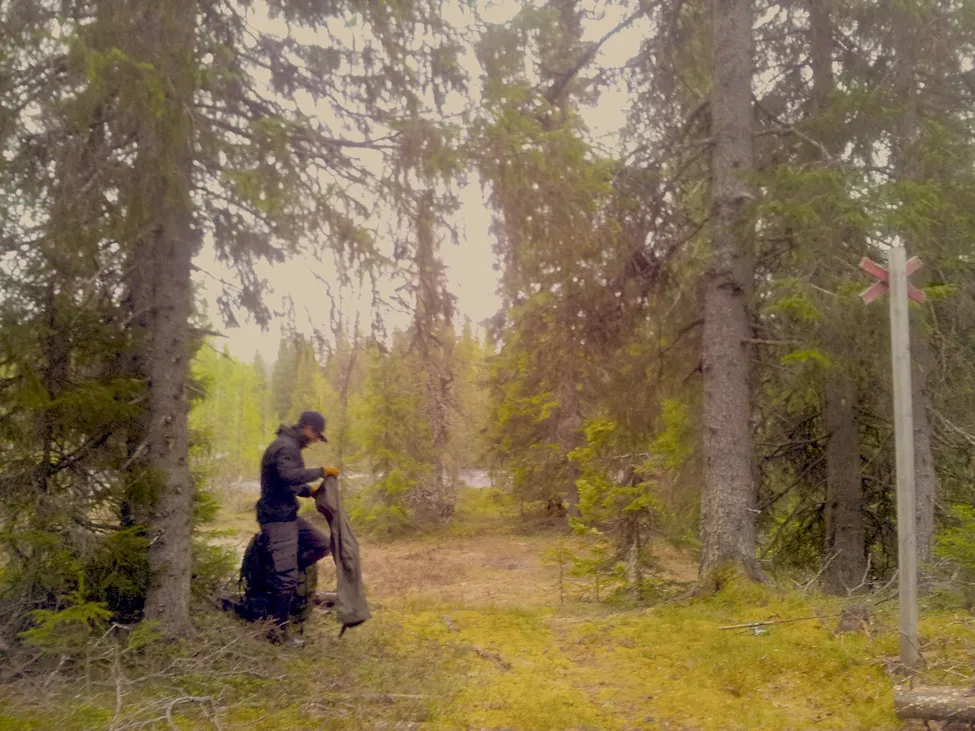 Klicka för att förstora