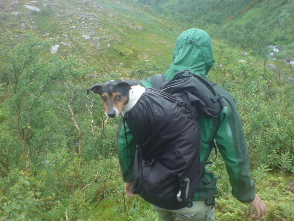 Klicka för att förstora