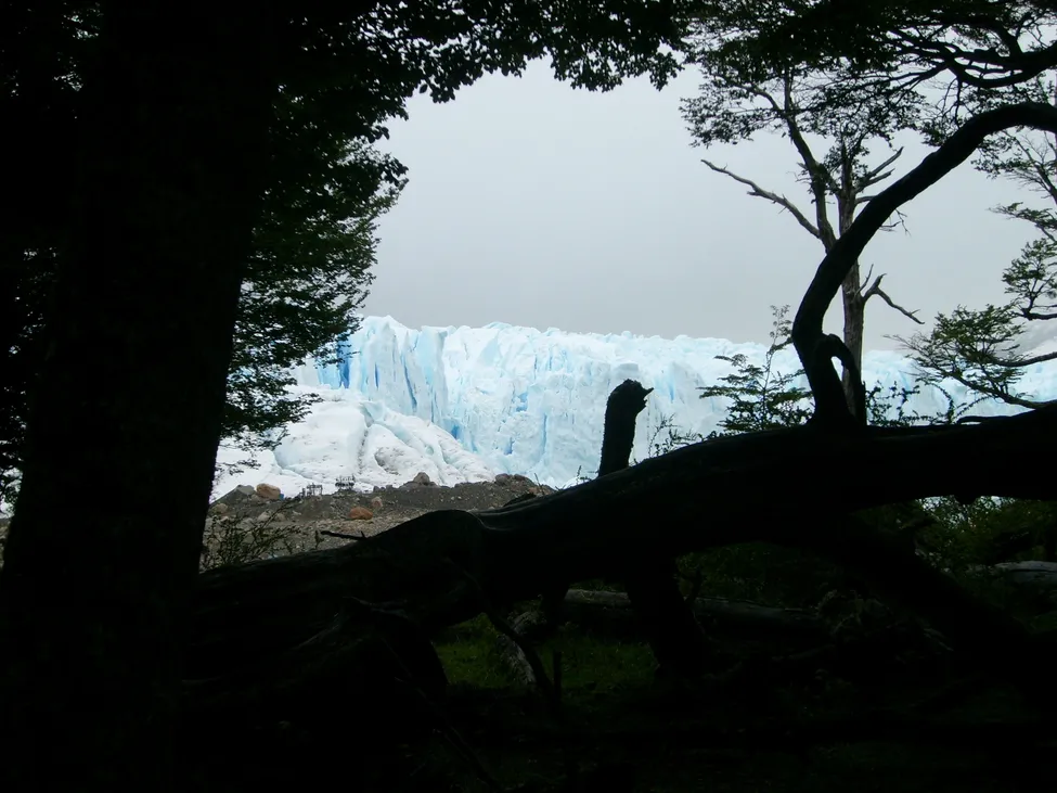 Klicka för att förstora