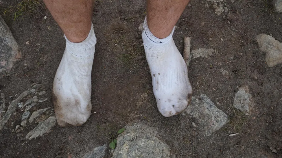 Klicka för att förstora