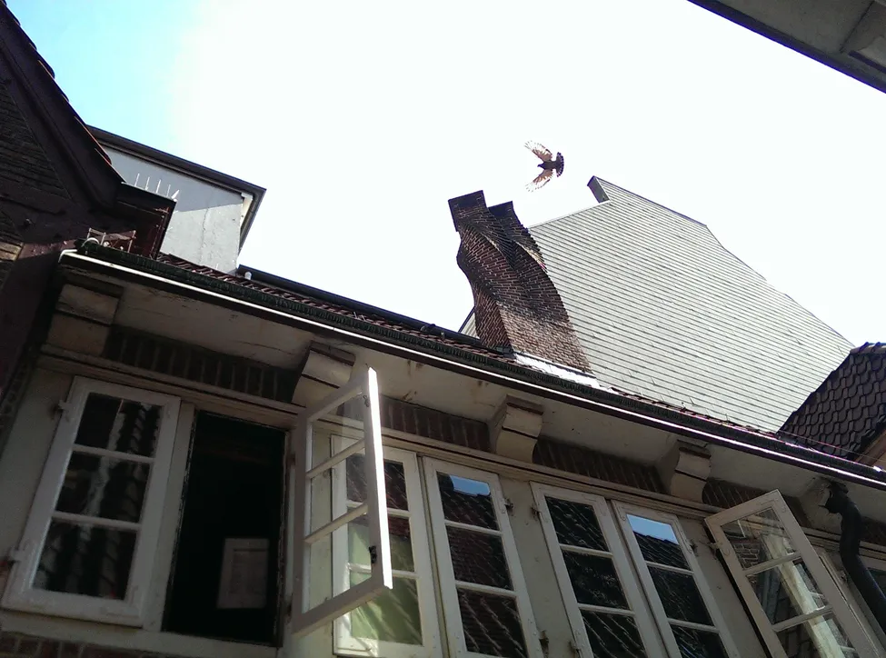 Klicka för att förstora