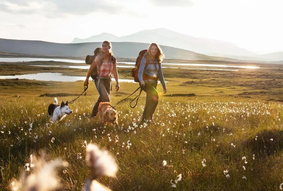 ”Vandra med hund” – ny bok vägleder till lyckade turer med fyrfota sällskap