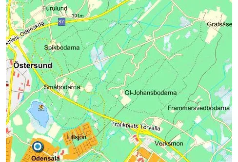 Vad vore skogen utan stigar?