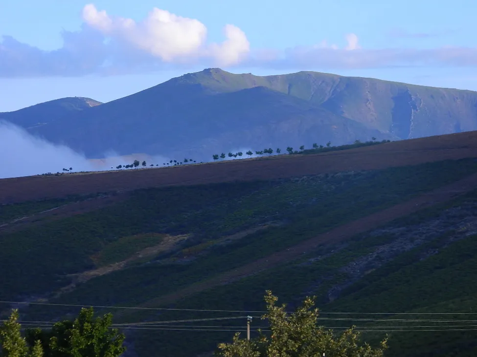 Klicka för att förstora