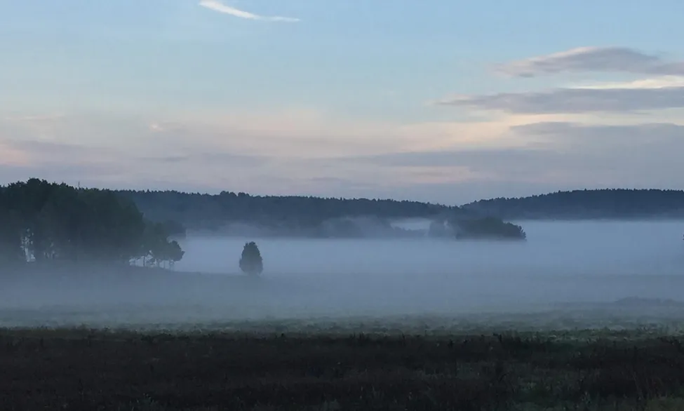 Klicka för att förstora