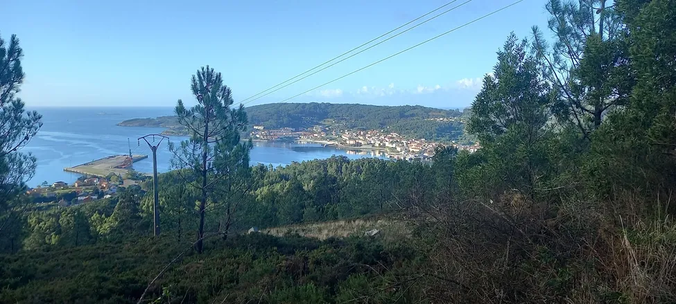 Klicka för att förstora