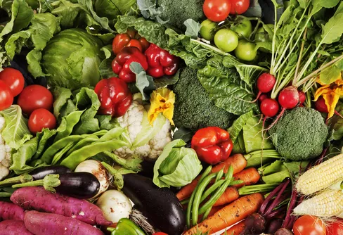 Matkoncept för klimatet och den biologiska mångfalden