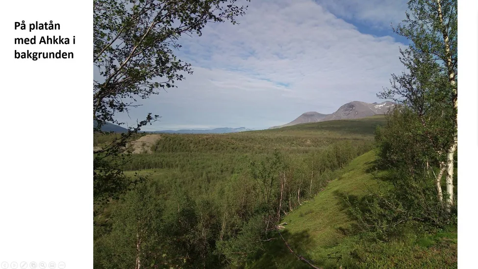 Klicka för att förstora