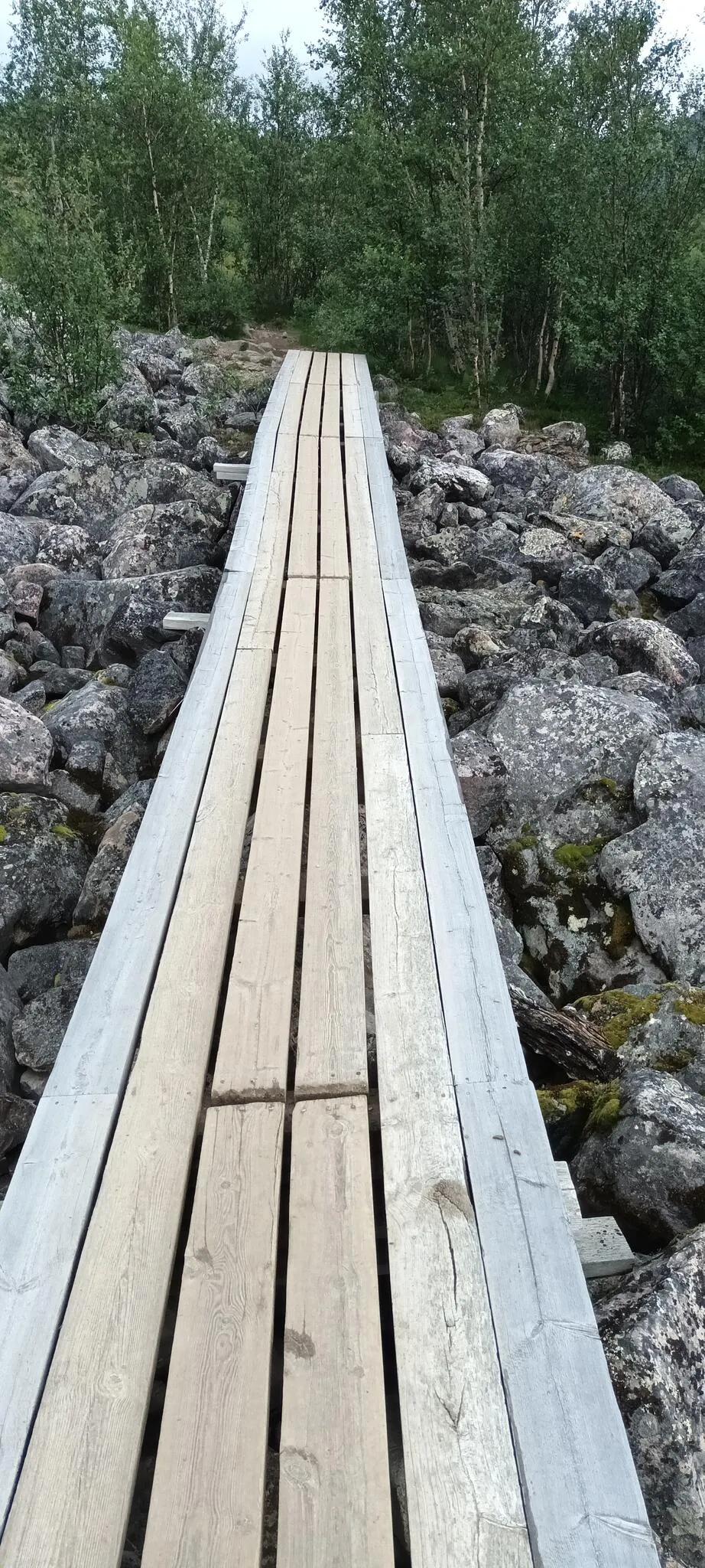 Klicka för att förstora