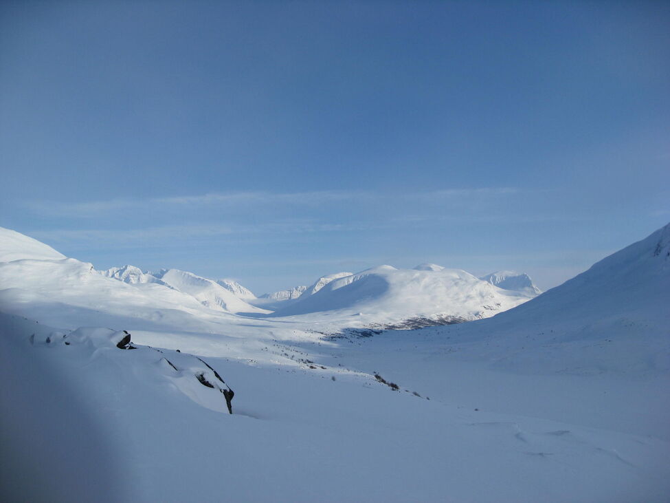 Klicka för att förstora