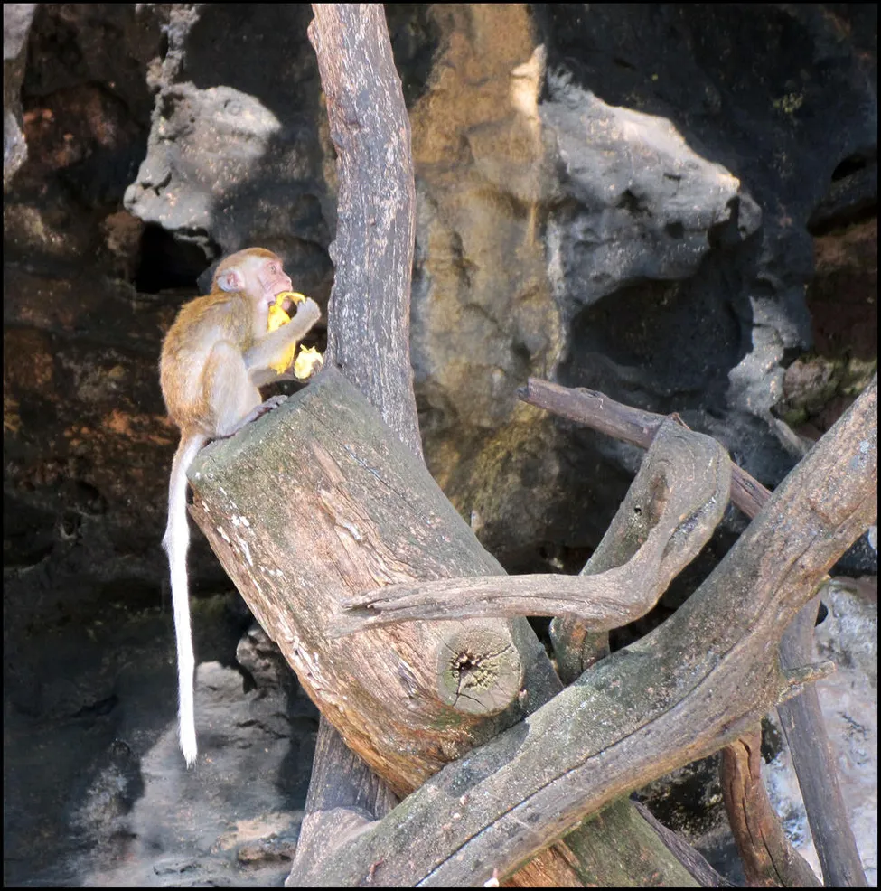 Klicka för att förstora