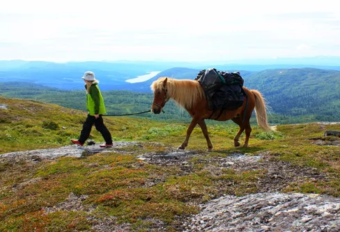 Vandring med packhäst i jämtländska Jorm - aug 2015