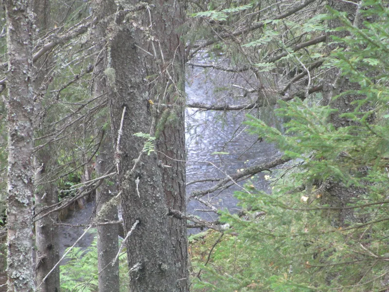 Klicka för att förstora