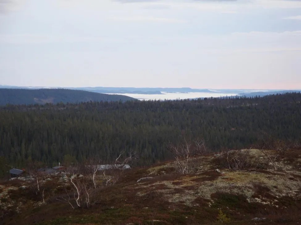 Klicka för att förstora