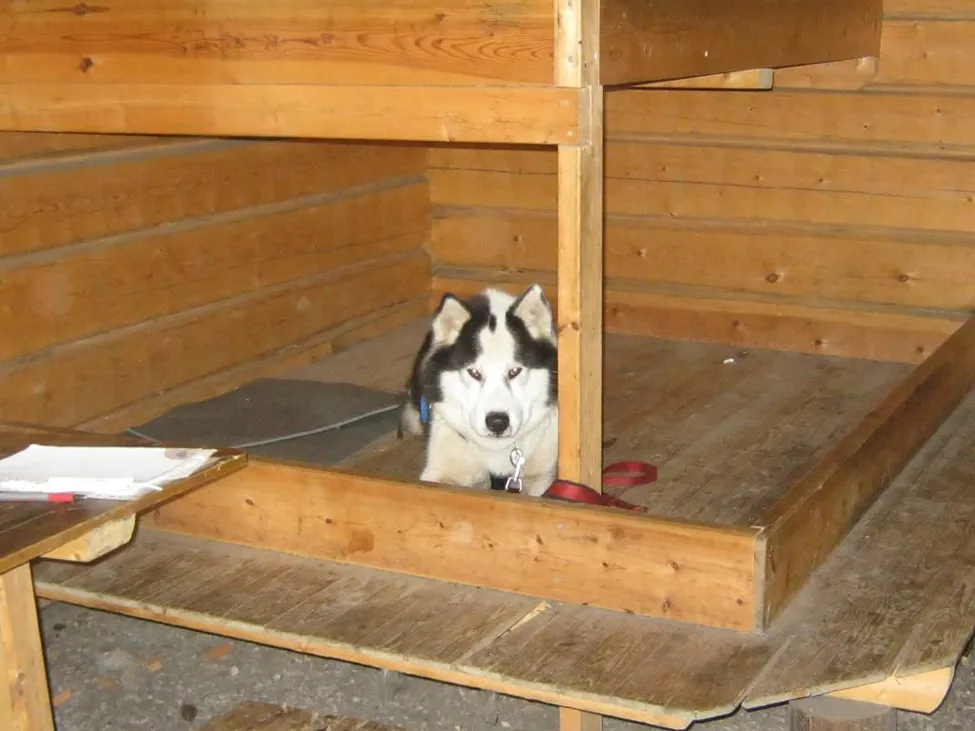 Klicka för att förstora