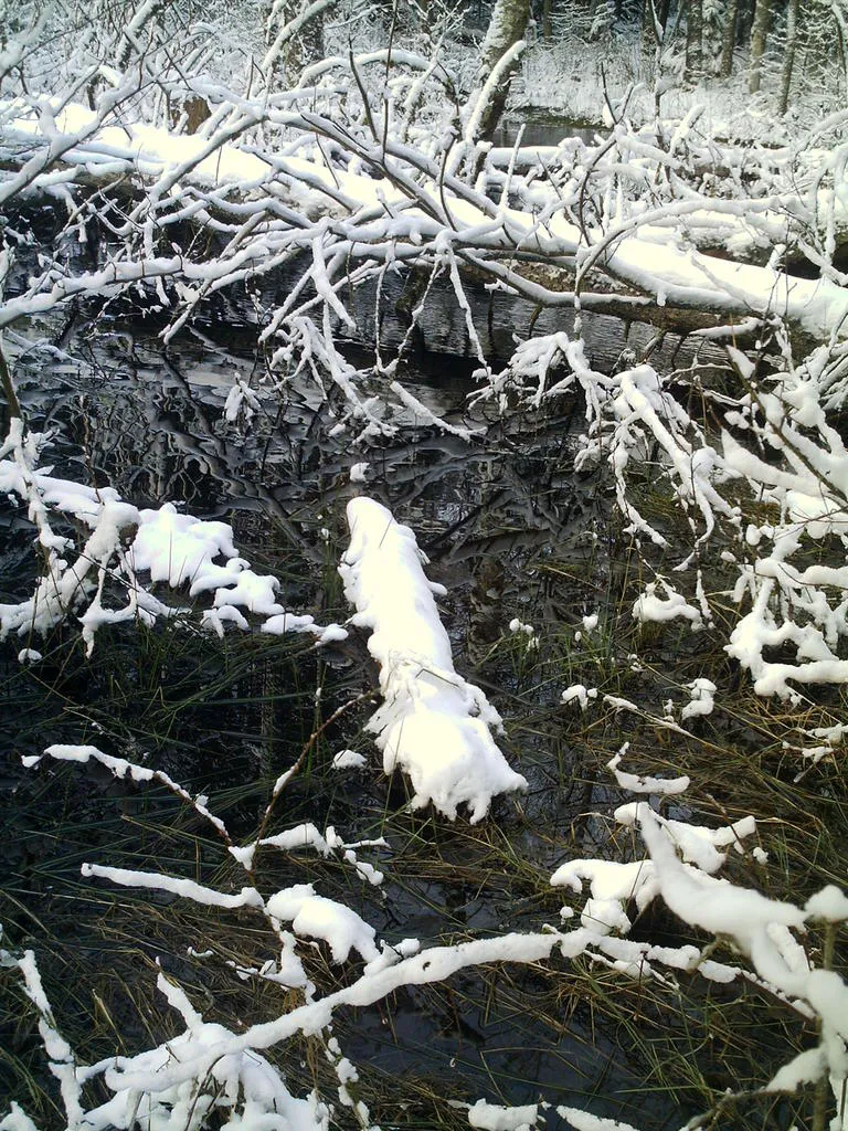 Klicka för att förstora