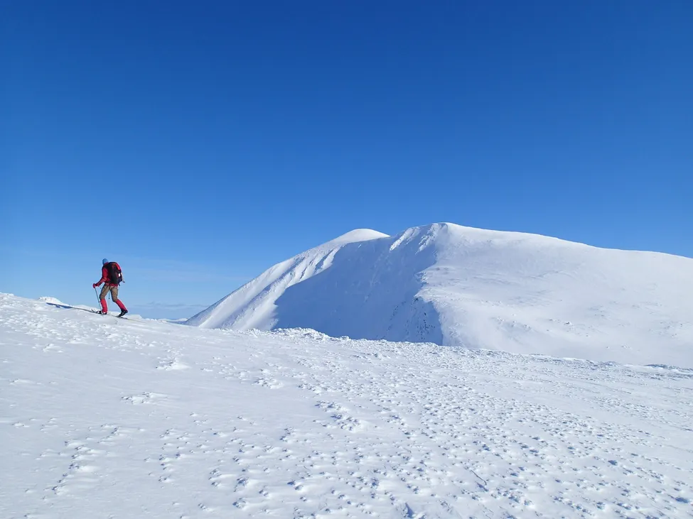 Klicka för att förstora