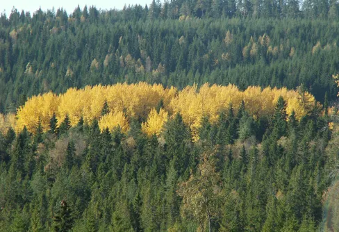Hjulen rullar vidare i bergslagsbygd