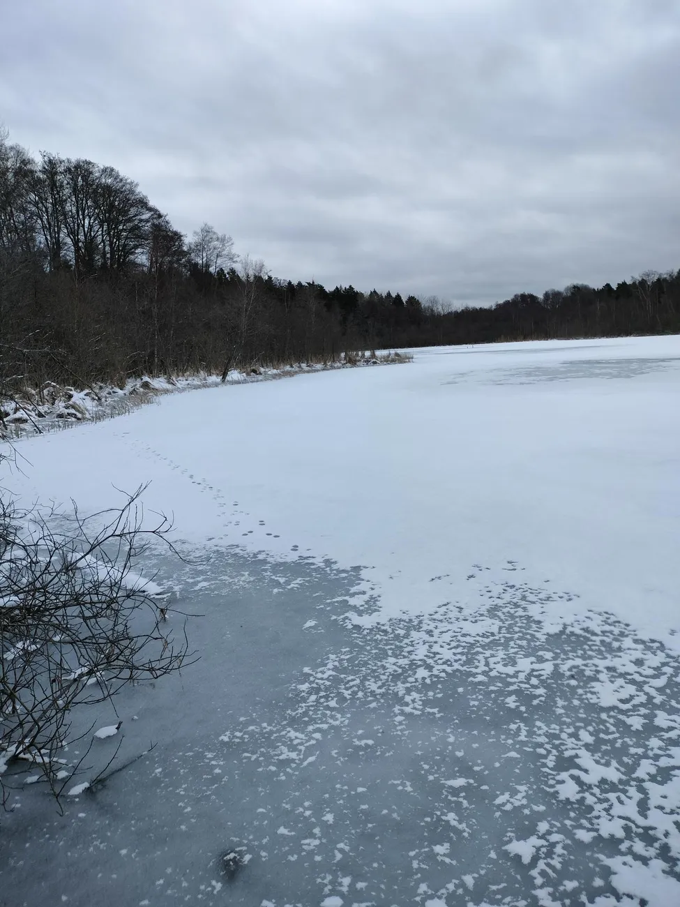 Klicka för att förstora