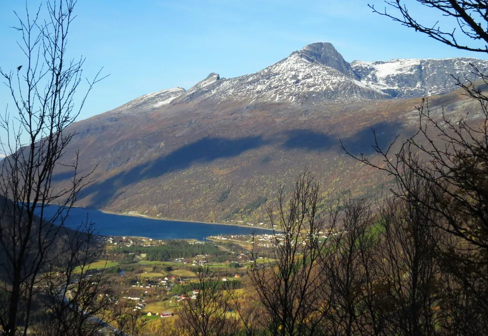 Klicka för att förstora