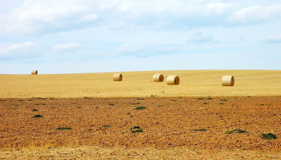 Klicka för att förstora